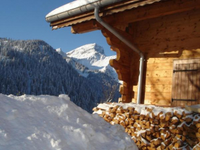 Cosy charateristic chalet near the Petit Ch tel lifts